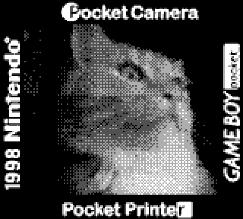 Файл:gbcamera - photo 1.png