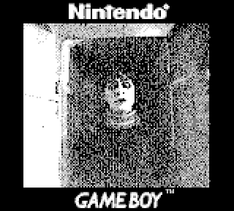 Файл:gbcamera - photo 2.png