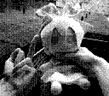 Файл:gbcamera - photo 4.png