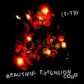 (T-T)b - Beautiful Extension Cord.jpg