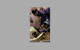 Super HiRes FLI suggs! by Rayden.gif