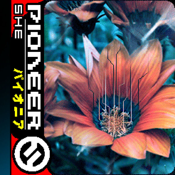 Файл:she - Pioneer.jpg
