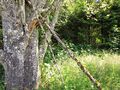 Nice Chiptunes In Nice Places 11.jpg