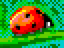 Ladybug by kubikami.png