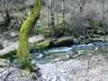 Nice Chiptunes In Nice Places 5.jpg