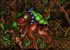 Escape by Cyclone B.gif