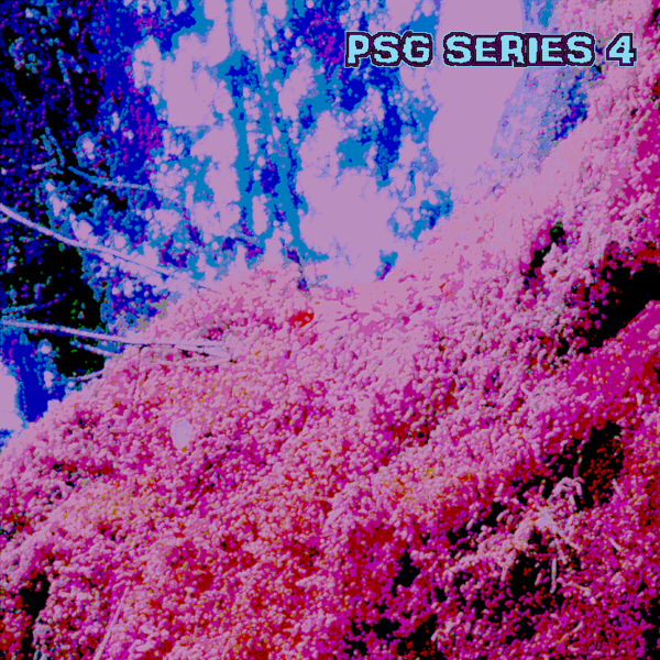 Файл:Tomy - PSG Series 4.png