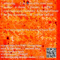 Awesome Force - Live at BRK back.jpg