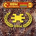 8bit weapon - Confidential 2.jpg