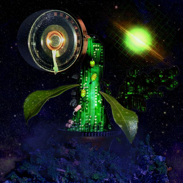 Файл:Monomatt - robot flowers.jpg