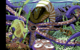 Nautilus by Hammerfirst.png