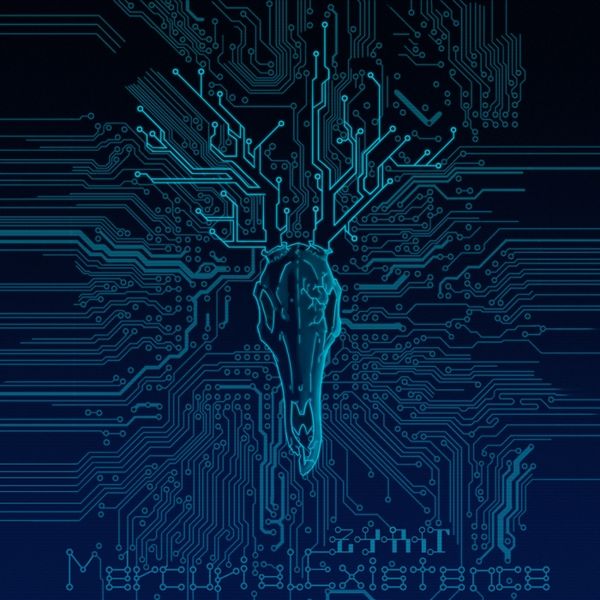 Файл:Zyrit - Mercurial Existence.jpg