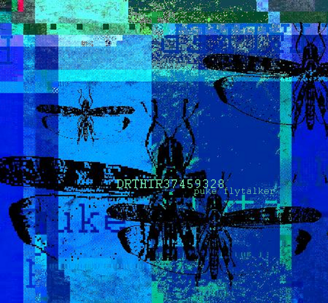 Файл:Puke Flytalker - DRTHIR37459328.png