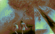 Cacciata dal Paradiso Terrestre by Leon.gif
