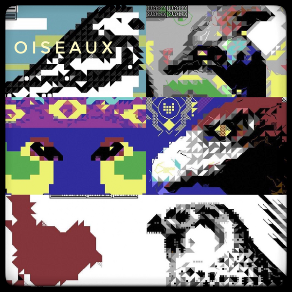 Файл:Jellica and Ray Manta – Oiseaux.png