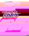 Rochester Chip The Third Year 2.png