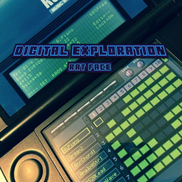 Файл:Rat Face - Digital Exploration.jpg