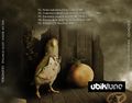 Yerzmyey - Strange Light Under My Bed-back.jpg