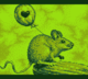 Song about Love by Jok.png