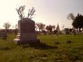 Nice Chiptunes In Nice Places 14.jpg