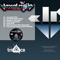 DJ Arvy aka Triace - The VoxelNoid EP back.jpg