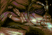 Sweet-Smoky Dreams by Leon.gif
