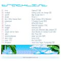 Ibiza Chip Chillout Vol. 21 back.jpg
