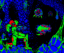 METROID.gif