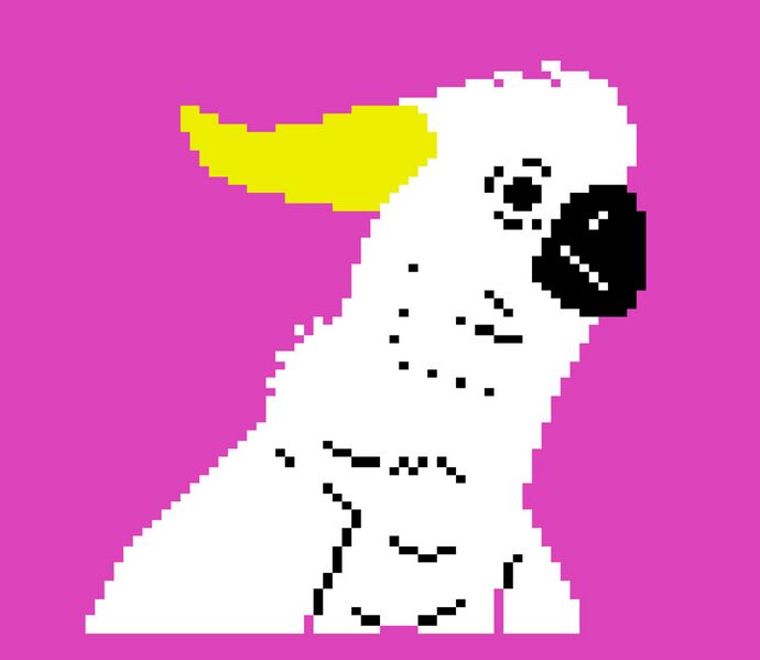 Файл:Jellica - Blip Festival 2008.jpg