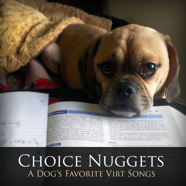 Файл:Jake Kaufman - Choice Nuggets.jpg